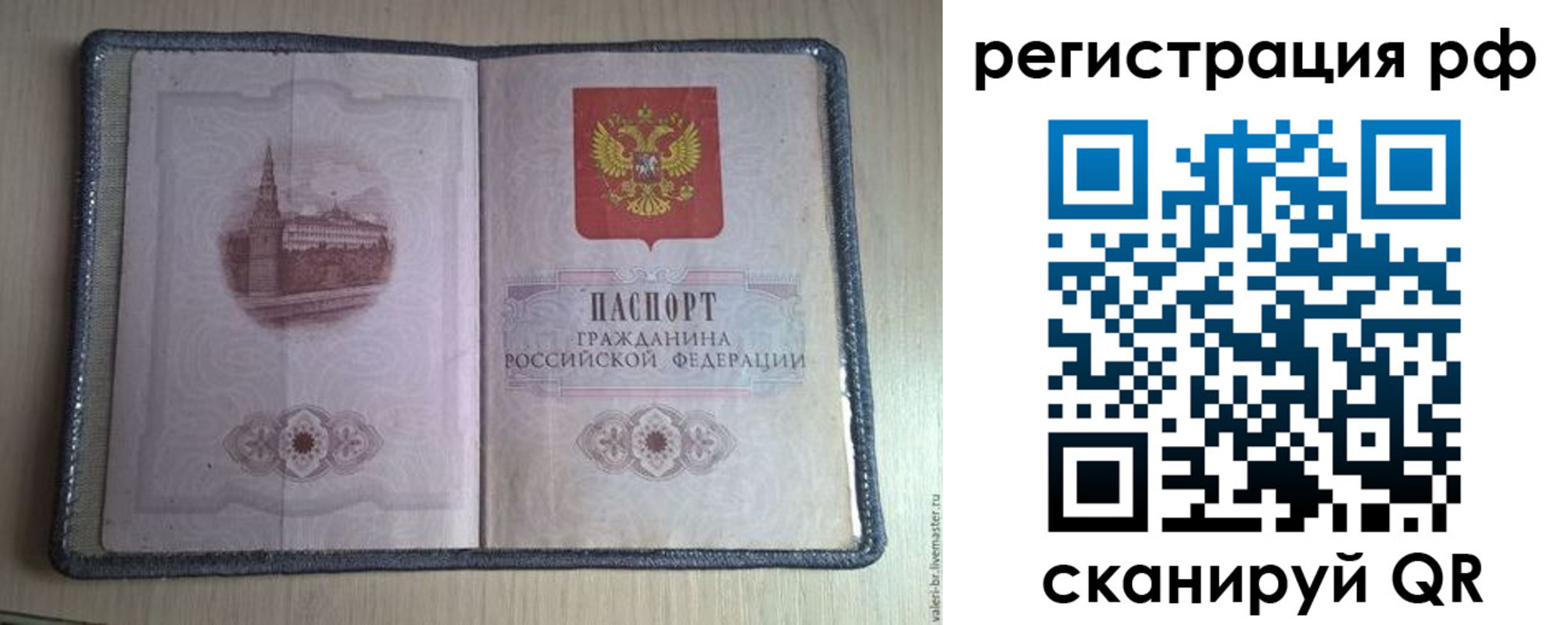 прописка поиск в Славгороде